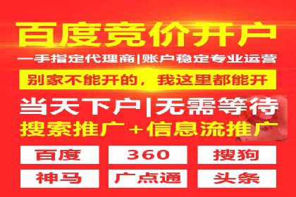 SEM推广实战：成功案例解读与策略调整